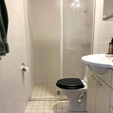 Tunnelmallinen Paritalo Saunalla 6 Hengelle *